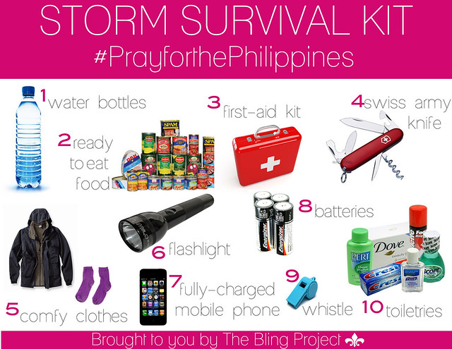Storm Survival Kit