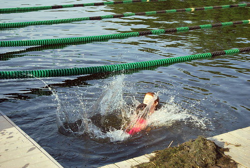 swimming - dive 6