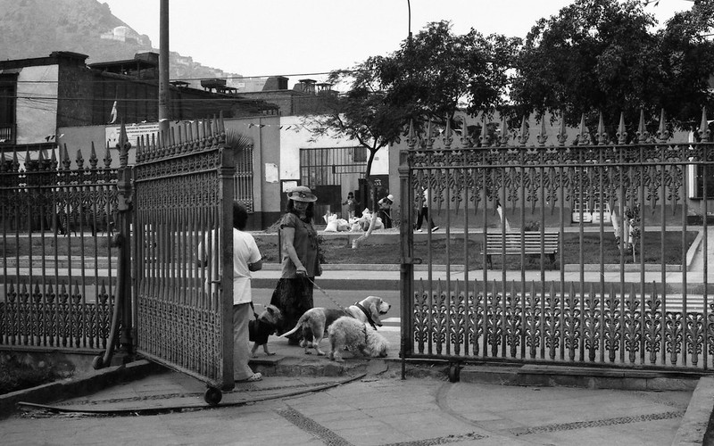 Fotografía convencional, Lima en rollo: La dama de los perros, Rímac- Perú.