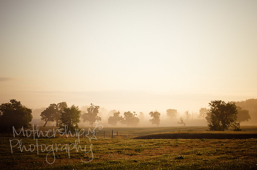 Foggy sunrise_