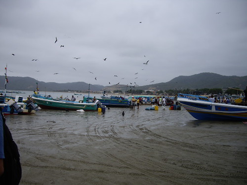 This is a beach in a fishing town that we visited to go whale watching. It was very dirty.