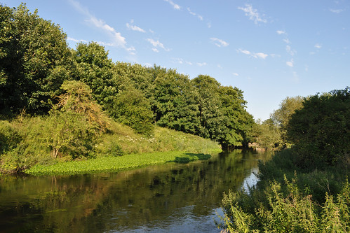 River Wandle in Watermeads Nature Reserve