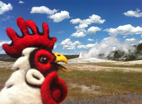 Felted Chicken Head at Old Faithful in Yellowstone