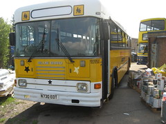 Bus Miscellany 2012