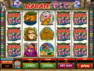 Karate Pig Slot Machine