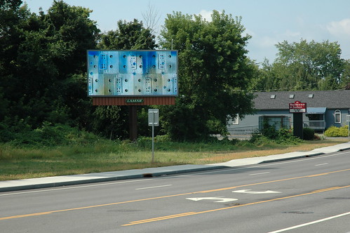 Albany Billboard Art Project 2012 - Julia Cocuzza (12)
