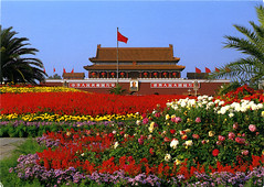 Postcards - China