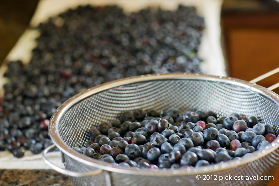 Freshly Washed Blueberries