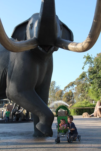 Olsen and Jovie and an elephant