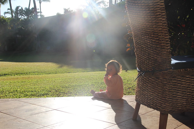 Mio in the Maui morning sun