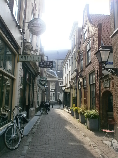 Waffles, Beers, Friteries and Coffee Shops. - Blogs de Europa Central - Día 9. De Haarlem a Leiden con noche en Rotterdam. (21)