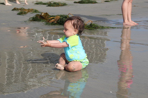 Jovie likes the water