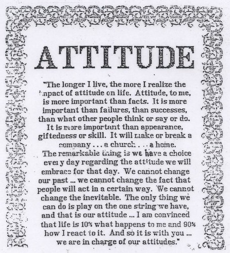 Attitude. by Sunshine Gorilla