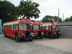 Bus Miscellany 2008