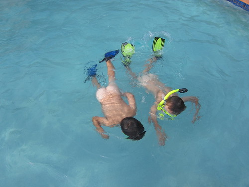 Nakey synchronized snorkeling