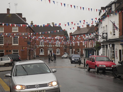Alcester bunting