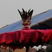 Vodon celebration impressions, Grand Popo, Benin - IMG_1955_CR2_v1