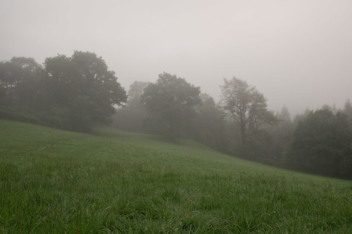 misty morning by garyd155