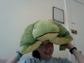 Daily create pillow pet hat