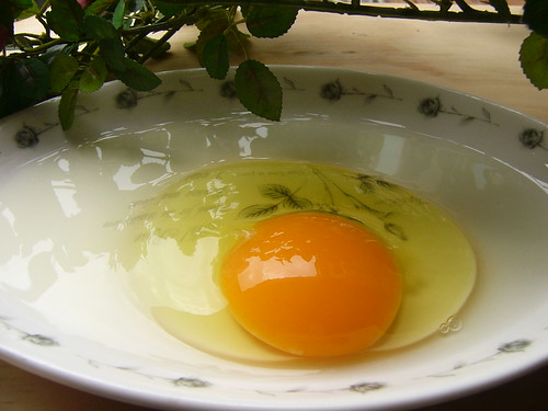 幾乎可以天天吃的蛋，今天你選哪一顆？圖為來自平飼雞場的雞蛋。（攝影：林謙利）