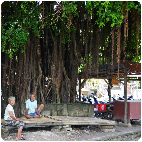 Nusa Penida Long Tree