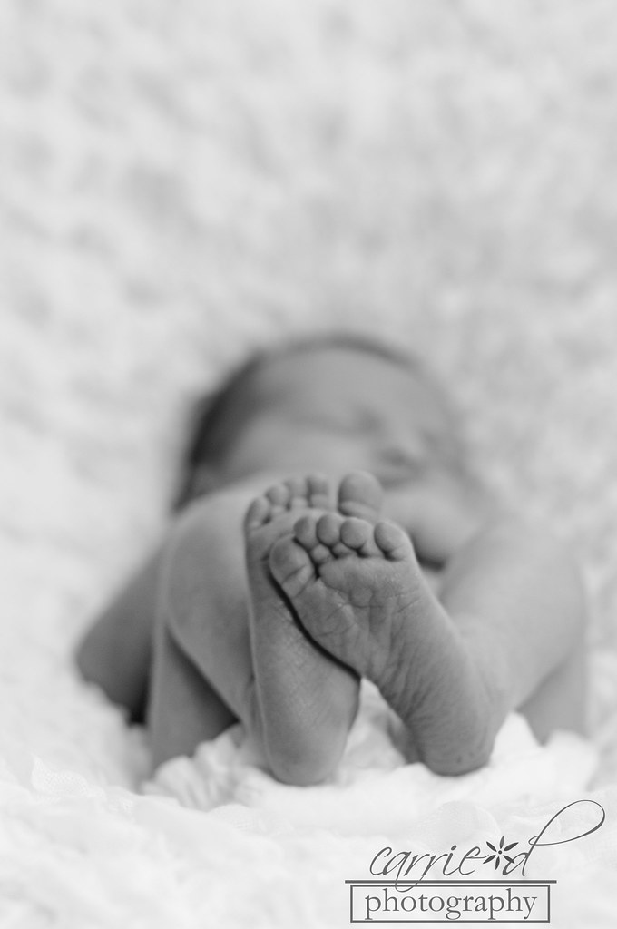 Pennsylvania Newborn Photographer - Newborn Photographer Philadelphia - Annie 7-27-2012 (160 of 340)BLOG