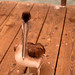 Pelican on Imperial Beach Pier