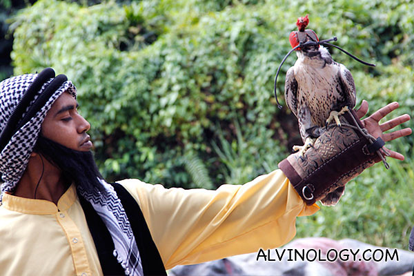 A guy in costume enacting the art of falconry 