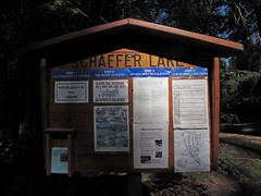 Schaefer Lake 8-16-12