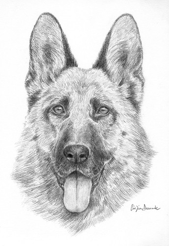 Disegno Libero Vuoi un ritratto del tuo cane o di una persona a te cara? Clicca  e visita il mio nuovo blog:) .