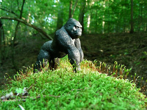 A gorilla in the woods 1 by W i l l a r d
