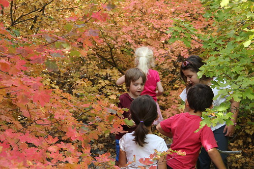 Kids in the colorful trees