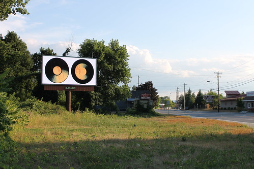 Albany Billboard Art Project 2012 - Julia Cocuzza (22)