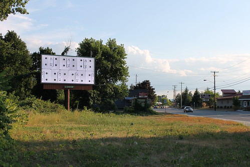 Albany Billboard Art Project 2012 - Julia Cocuzza (19)