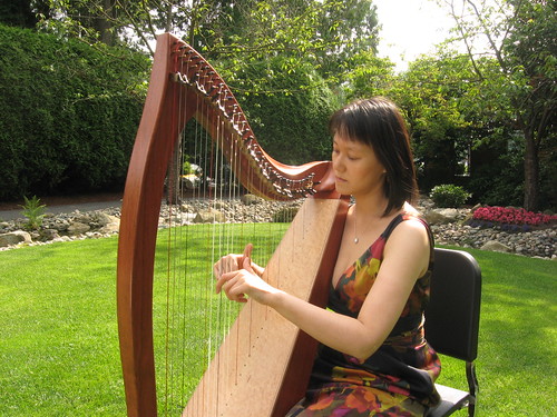 Lever Harp