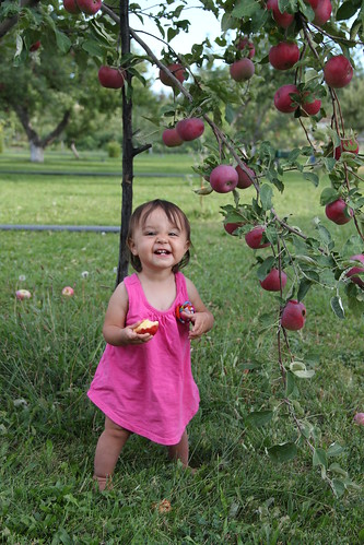 Standing baby picking apples 3