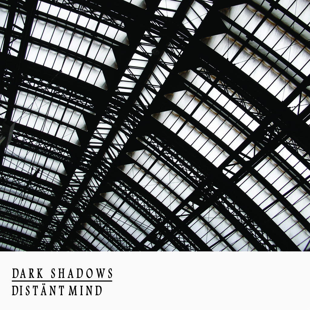 THE DARK SHADOWS: Distant Mind/Silent Screams 7″ ( Select-A-Vision Records 2012)