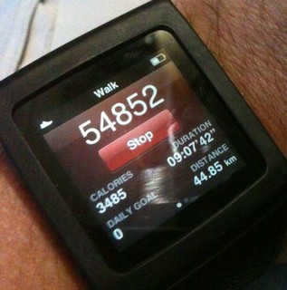 Walkabout: 54,852 steps, 44.85 KM, 3,485 calories