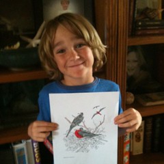 My little artist with his Frigatebird art #unitstudy #free #homeschool #hsbloggers