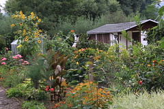 Gardens (2)