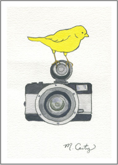 bird on a camera