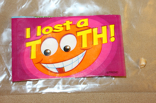 I-lost-a-tooth-bag