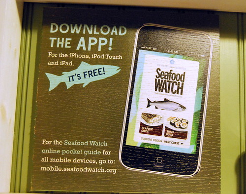 MA - seafood watch app