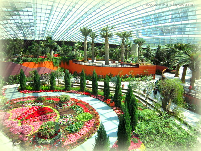 Flower Dome 049