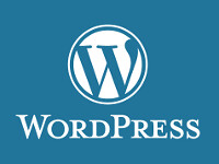 How to choose a Minimalist WordPress Theme?