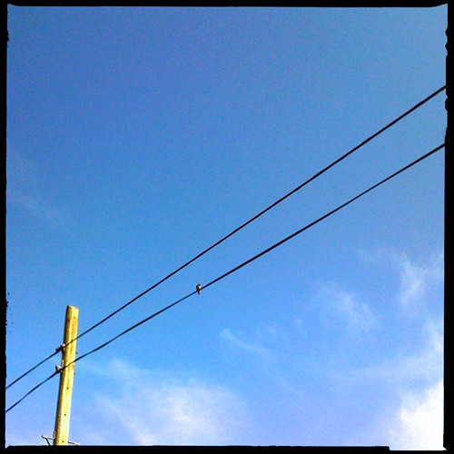 Summer Skies 2012 - Day 44: Green Lane
