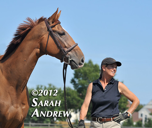 Thewifedoesntknow Training Blog: Week 11, in which Ally-Gator goes to a Horse Show