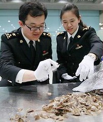 北京海關查獲穿山甲麟片。（照片由中國海關提供）