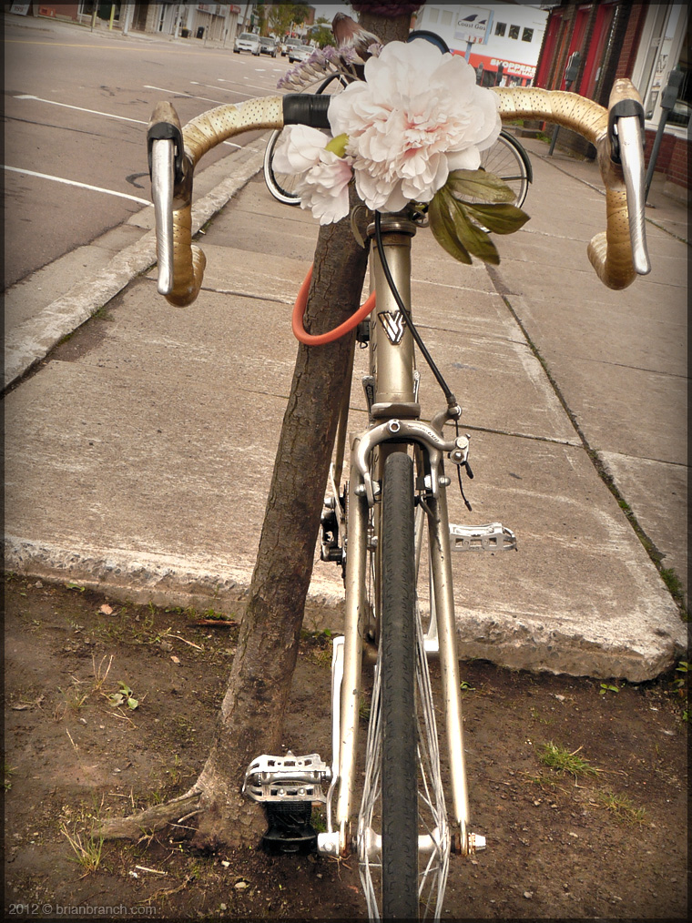 P1280262_flower_and_bike