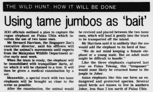 The Straits Times 3 March 1991